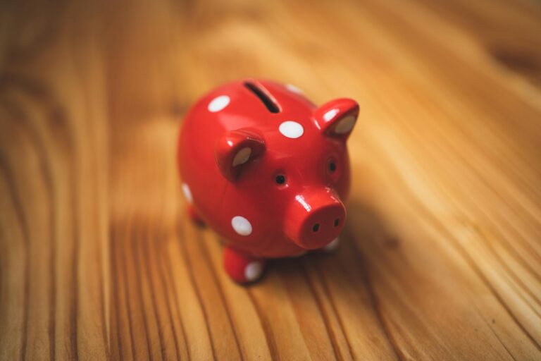 Investir 100 euros par mois - épargne mensuelle
